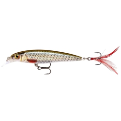 Wobler Rapala X-Rap XR06 - LIVE ROACH (ROL)